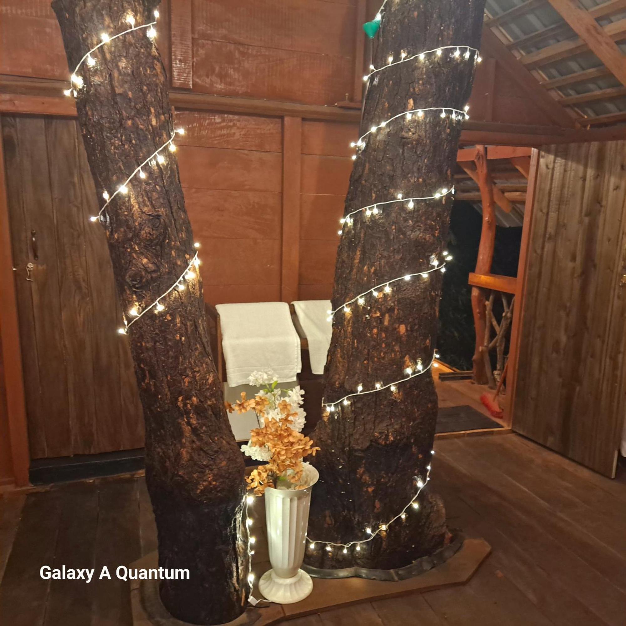 Green Leaf Tree House ดัมบูลลา ภายนอก รูปภาพ