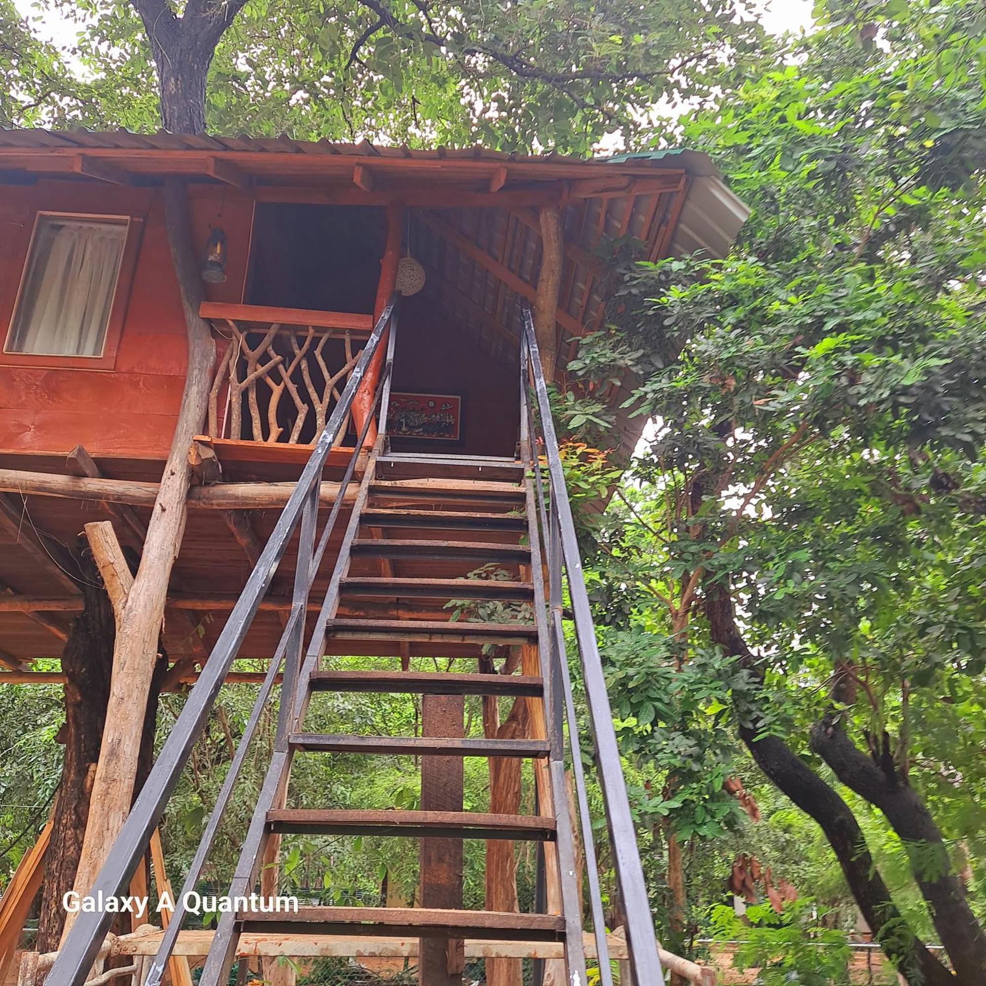 Green Leaf Tree House ดัมบูลลา ภายนอก รูปภาพ