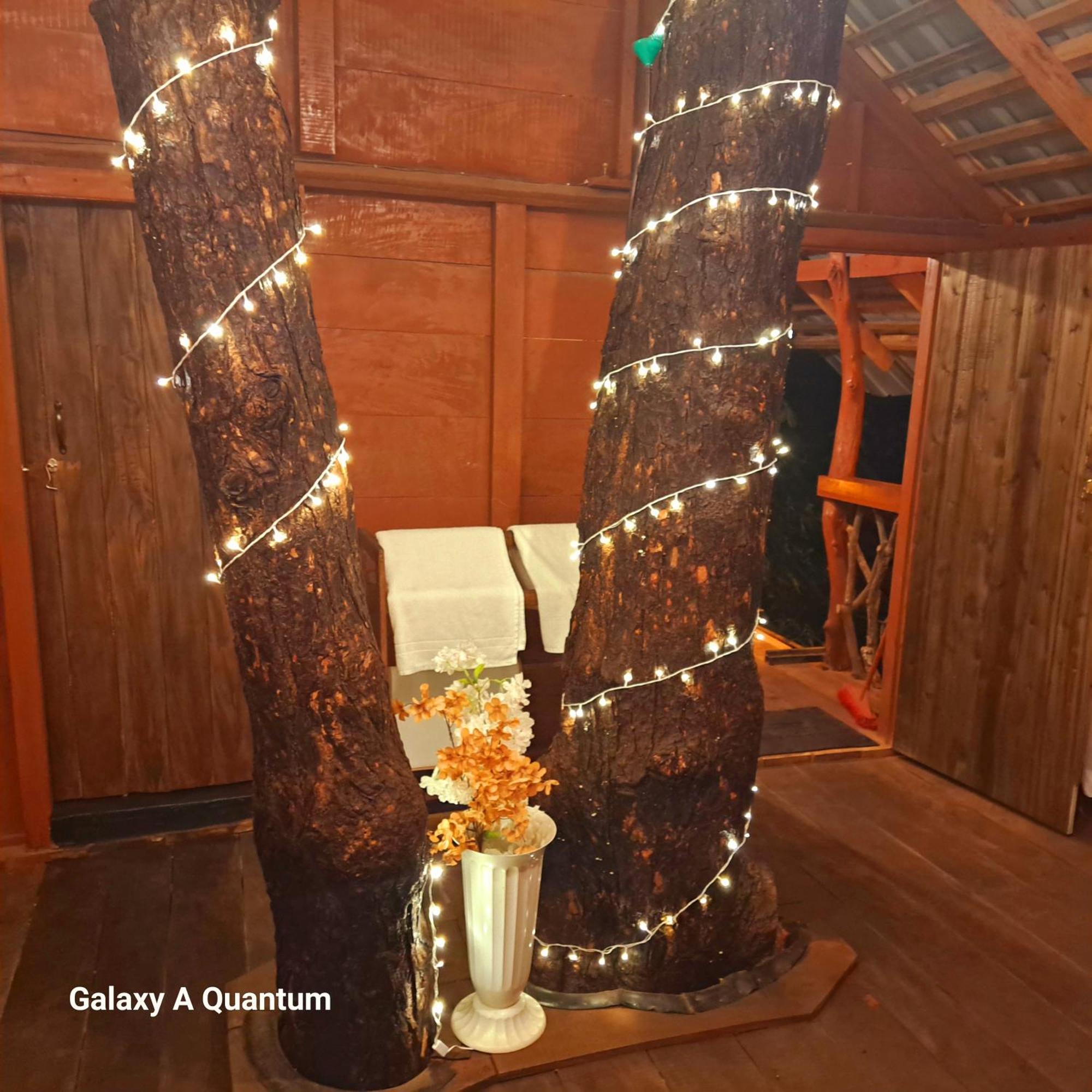 Green Leaf Tree House ดัมบูลลา ภายนอก รูปภาพ